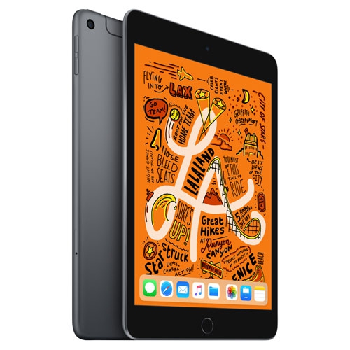 Apple iPad mini 7.9" 64GB with Wi-Fi & 4G LTE (5th Generation) - Space Grey by APPLE - Refurbished condition - CA$229.00