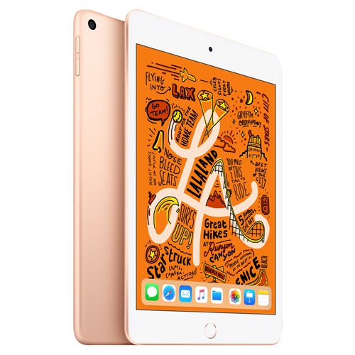 APPLE  Refurbished (Fair) - Ipad Mini 7.9" 256GB With Wi-Fi (5Th Generation) - In Gold