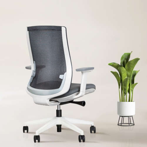TaskChair – Fauteuil de bureau à domicile robuste, fauteuil de bureau ergonomique, soutien lombaire 4D, accoudoirs réglables
