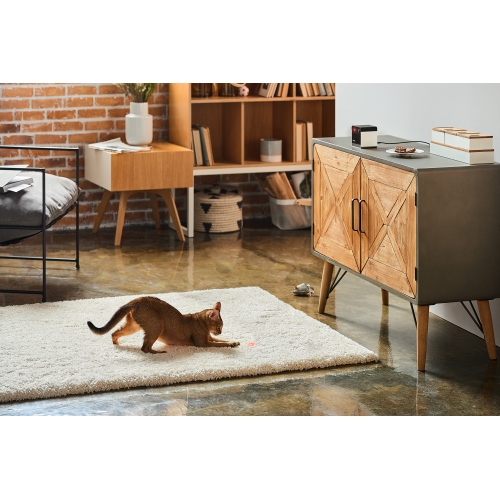 Petcube Play 2 Wi-Fi Pet Camera with Laser Toy for Cats & Dogs