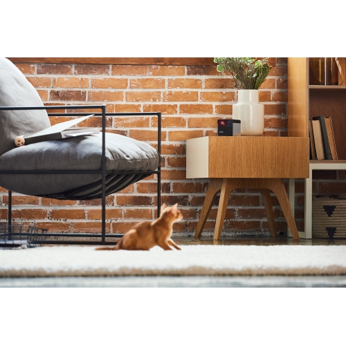 Petcube Play 2 Wi-Fi Pet Camera with Laser Toy for Cats & Dogs