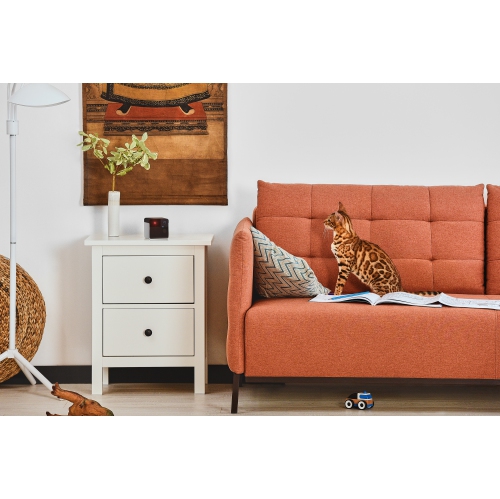 Petcube Play 2 Wi-Fi Pet Camera with Laser Toy for Cats & Dogs