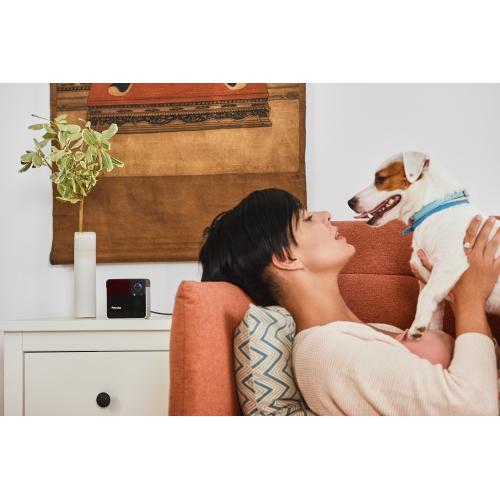 Petcube Play 2 Wi-Fi Pet Camera with Laser Toy for Cats & Dogs