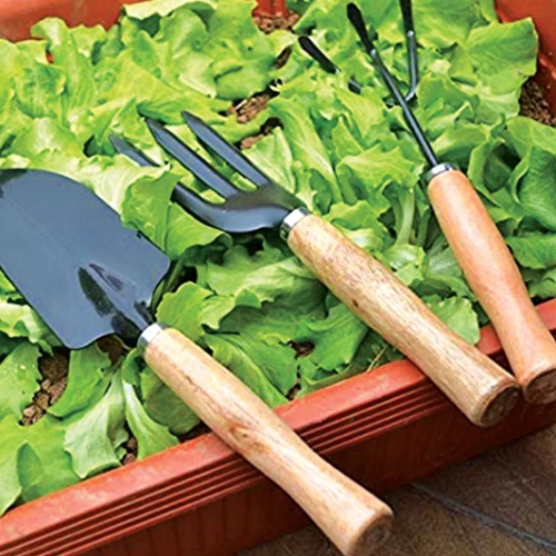 3PCS Garden Planting Tool Set Bonsai Succulent Transplanting Iron Rake Shovel Trowel Garden Planting Hand Tools for Home Garden