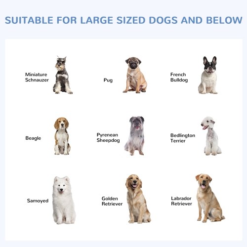 PawHut Outdoor Dog Kennel with Roof, Dog Run with Waterproof & UV-Resistant Cover, Secure Lock, for Backyard & Patio, 9.8' x 9.8' x 7.7'