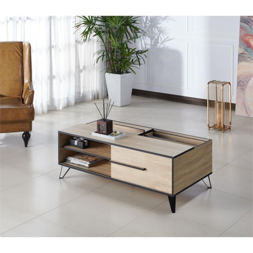 Furniture of America Evermore Modern Wood Storage Coffee Table in Natural Oak