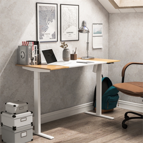 Furniture of America Quade Wood and Metal Height Adjustable Desk in White
