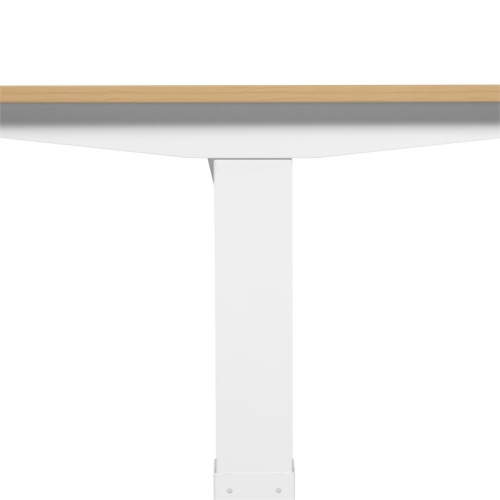 Furniture of America Quade Wood and Metal Height Adjustable Desk in White