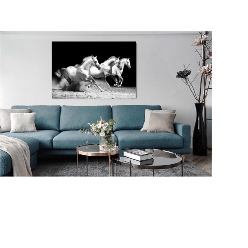 Ladole Rugs Canvas Wall Art Black and White Three Running Horse on the Field -30x40 cm Abstract Painting Pictures Print for Home Decoration