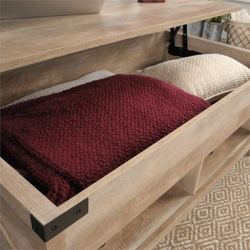 Sauder Bridge Acre Engineered Wood Lift-Top Coffee Table in Lintel Oak