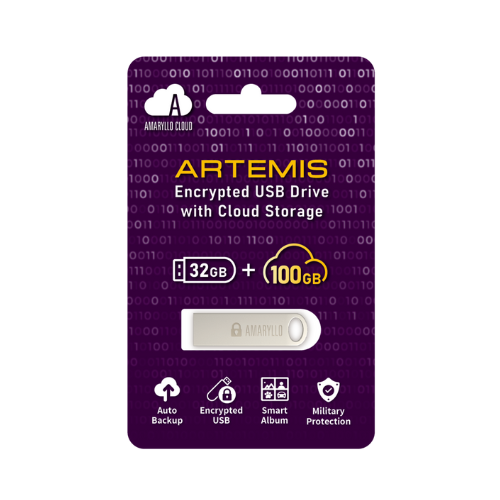 AMARYLLO  Artemis 100GB Cloud Flash Drive With Auto-Backup