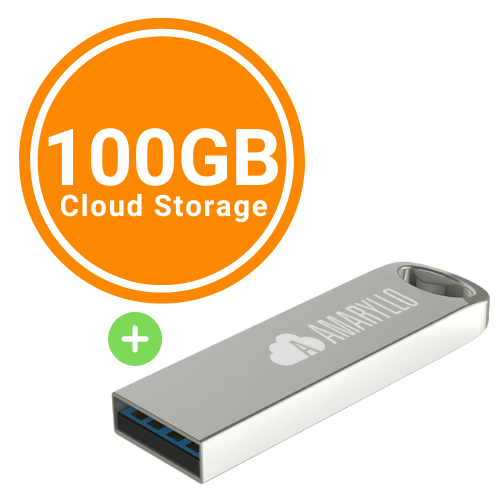 Amaryllo Artemis 100GB Cloud Flash Drive with Auto-Backup