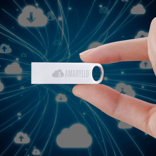 Amaryllo Artemis 100GB Cloud Flash Drive with Auto-Backup