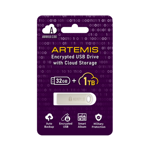 AMARYLLO  Artemis 1Tb Cloud Flash Drive With Auto-Backup