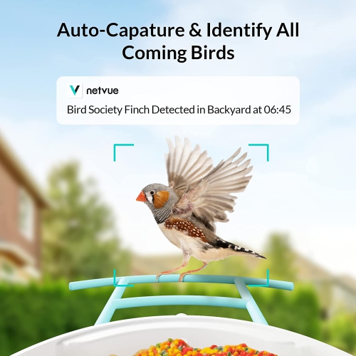 NETVUE Caméra de Mangeoire Oiseaux à Batterie, AI Reconnaissance des  Espèces d'Oiseau, WiFi, Capture Automatique Images/Vidéos, IP65 Etanche  (Birdfy Feeder+Panneau Solaire) : : Jardin