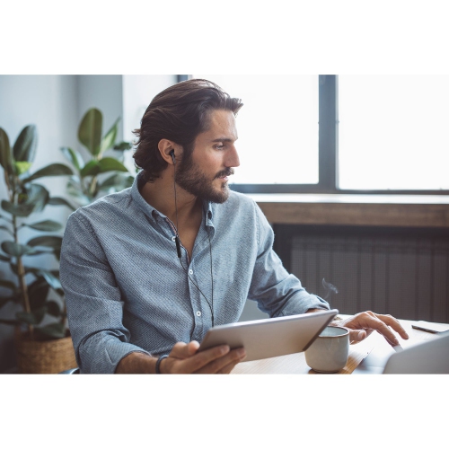 JVC HA-F17M-B - Wired In-Ear Headphones with Integrated Remote and Microphone, Black