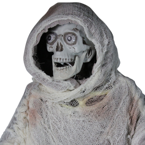 65" Animated Standing Master of Death Halloween Decoration