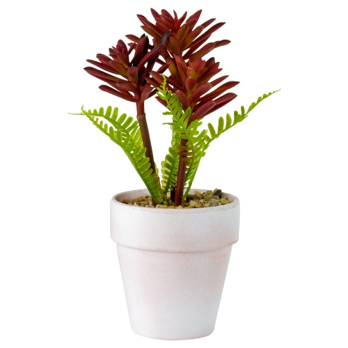 NORTHLIGHT  8" Succulent Fern Ceramic Pot In White