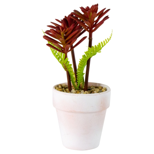 8" Succulent Fern Ceramic White Pot