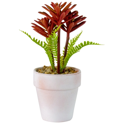 8" Succulent Fern Ceramic White Pot