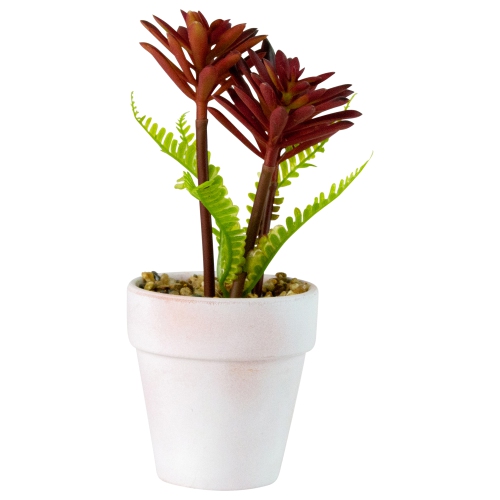 8" Succulent Fern Ceramic White Pot