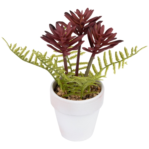 8" Succulent Fern Ceramic White Pot