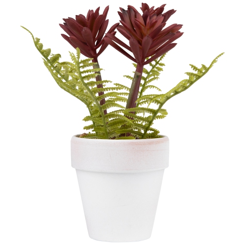 8" Succulent Fern Ceramic White Pot