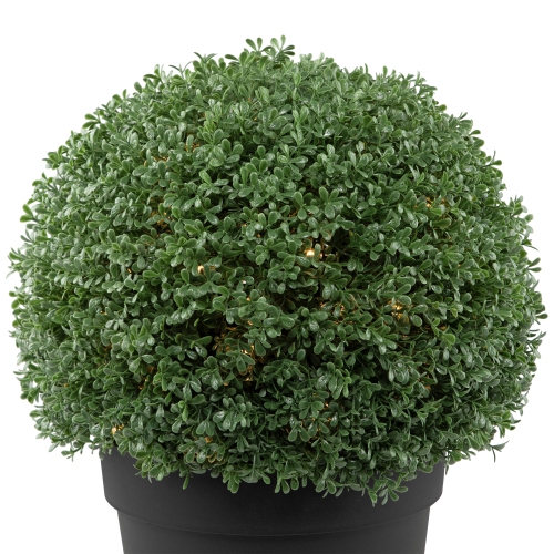20" Pre-Lit Artificial Boxwood Ball Topiary in Round Pot, Clear Lights
