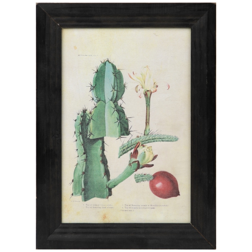 Framed Floral Cactus Photo Frame Wall Art - 14"