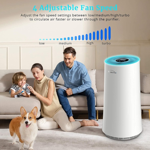 Best buy air purifier deals for smoke