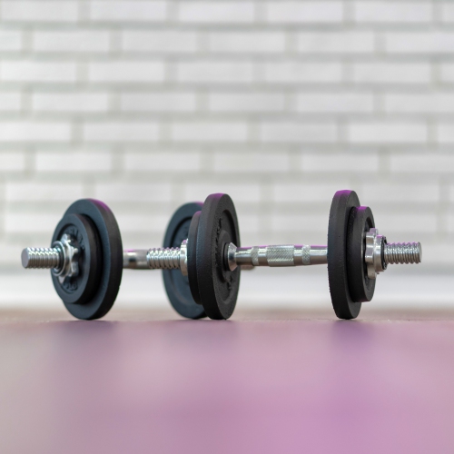 PRISP Adjustable Weight Dumbbells Set - Includes 2 Bars, Cast Iron Plates and Threaded Collars, 40 lbs