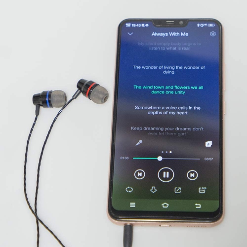 Paquet de 5 écouteurs bouton avec télécommande et microphone, écouteurs bouton à surface lisse en laiton à isolation sonore anti-enchevêtrement pour