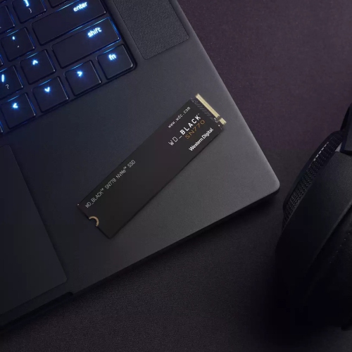 WD WDS250G3X0E Black SN770 NVMe SSD