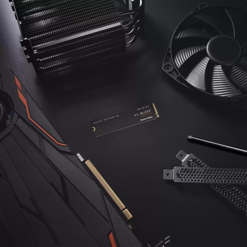 WD WDS250G3X0E Black SN770 NVMe SSD