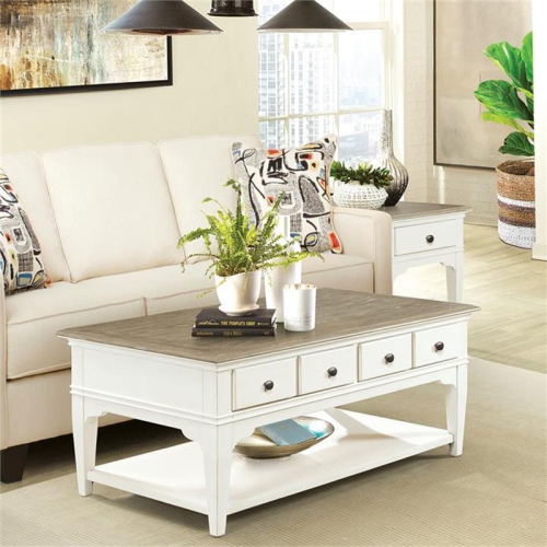 Bowery Hill Contemporary 48" x 28" Storage Coffee Table in Natural