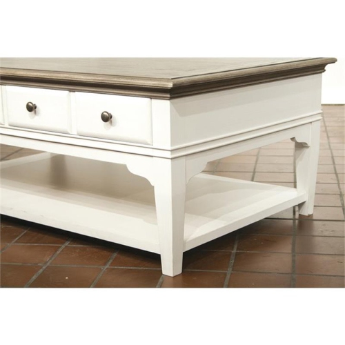 Bowery Hill Contemporary 48" x 28" Storage Coffee Table in Natural