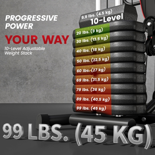 Gym à domicile de Soozier, station d'entraînement multifonction avec pile de poids de 100 lb, coussin de flexion à hauteur réglable pour le dos, la