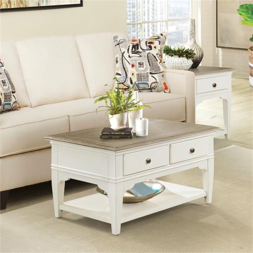 Bowery Hill Contemporary 36" x 24" Storage Coffee Table in Natural