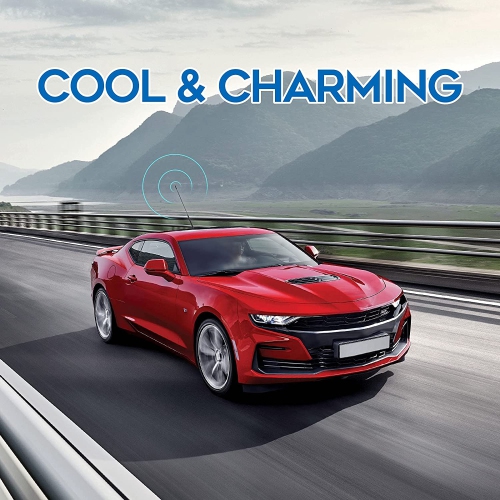 Universal Vehicle Antenna Replacement 40cm, AM FM Roof Mount Car Radio Antenna Mast, Flexible Rubber Antennae with M4 M5 M6 Threaded Adapter