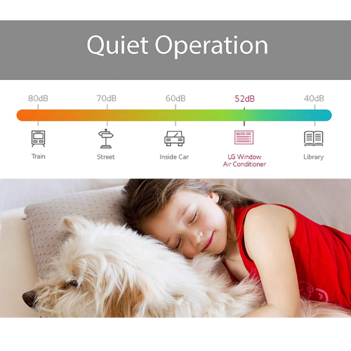 LG LW6017R climatiseur de fenêtre 115 V, 6,000 BTU