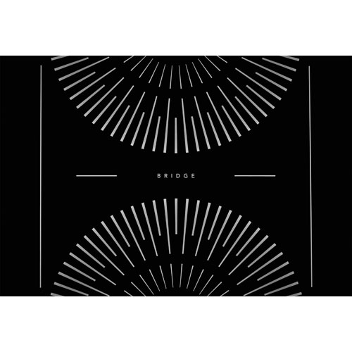 Frigidaire Gallery 36" 5-Element Induction Cooktop (GCCI3667AB) - Black