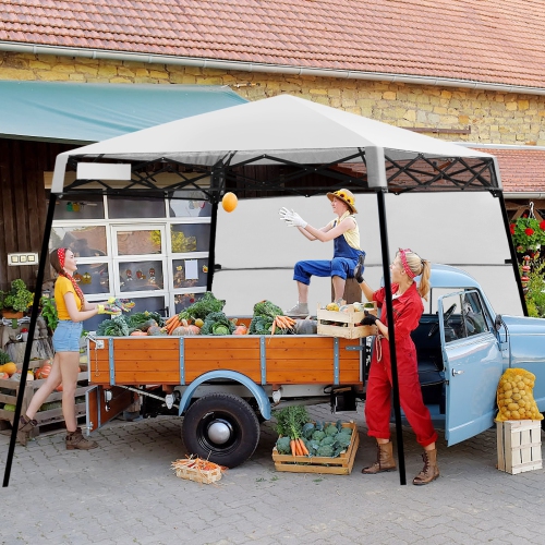 Pop-up Canopy Tent with Carry Bag and 4 Stakes