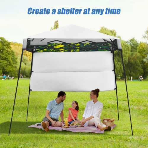 Pop-up Canopy Tent with Carry Bag and 4 Stakes