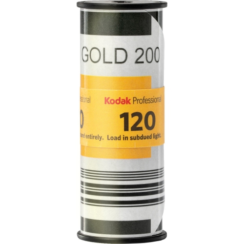Kodak Professional Gold 200 Color Negative Film
