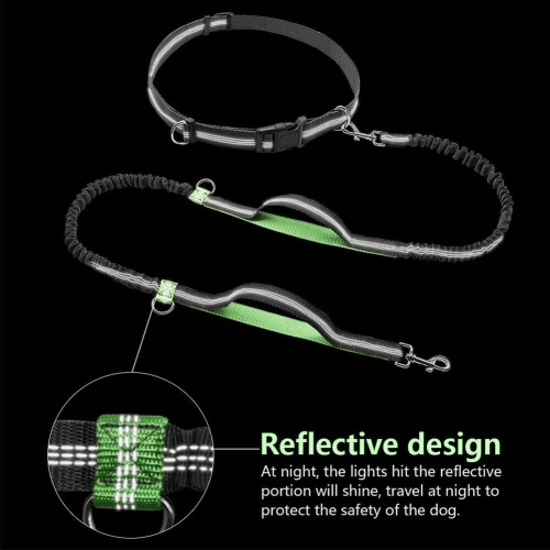 Laisse rétractable pour chien en laisse à deux poignées et ceinture réfléchissante CA