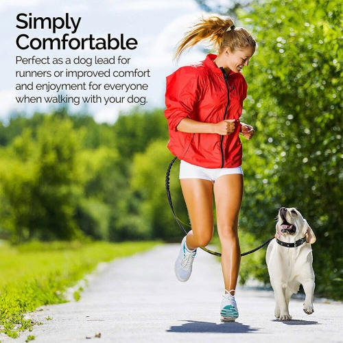 Laisse rétractable pour chien en laisse à deux poignées et ceinture réfléchissante CA