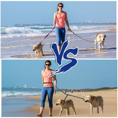 Laisse rétractable pour chien en laisse à deux poignées et ceinture réfléchissante CA