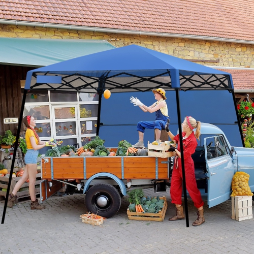 Pop-up Canopy Tent with Carry Bag and 4 Stakes