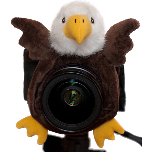 Shutter Huggers Eagle Shutter Hugger (Brown)