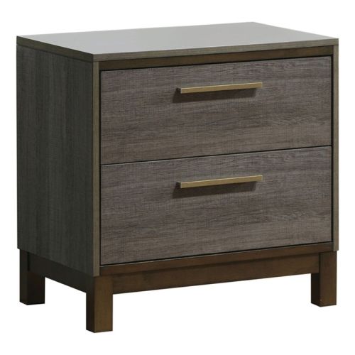Bowery Hill 2-Drawer Contemporary Wood Nightstand in Antique Gray